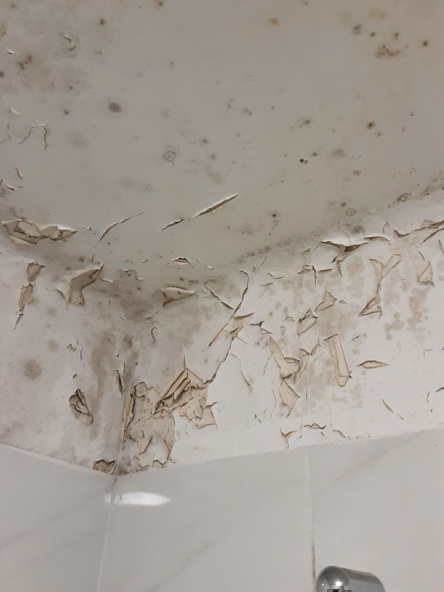 Rénovation Salle de Bain à Rueil-Malmaison — photo 3