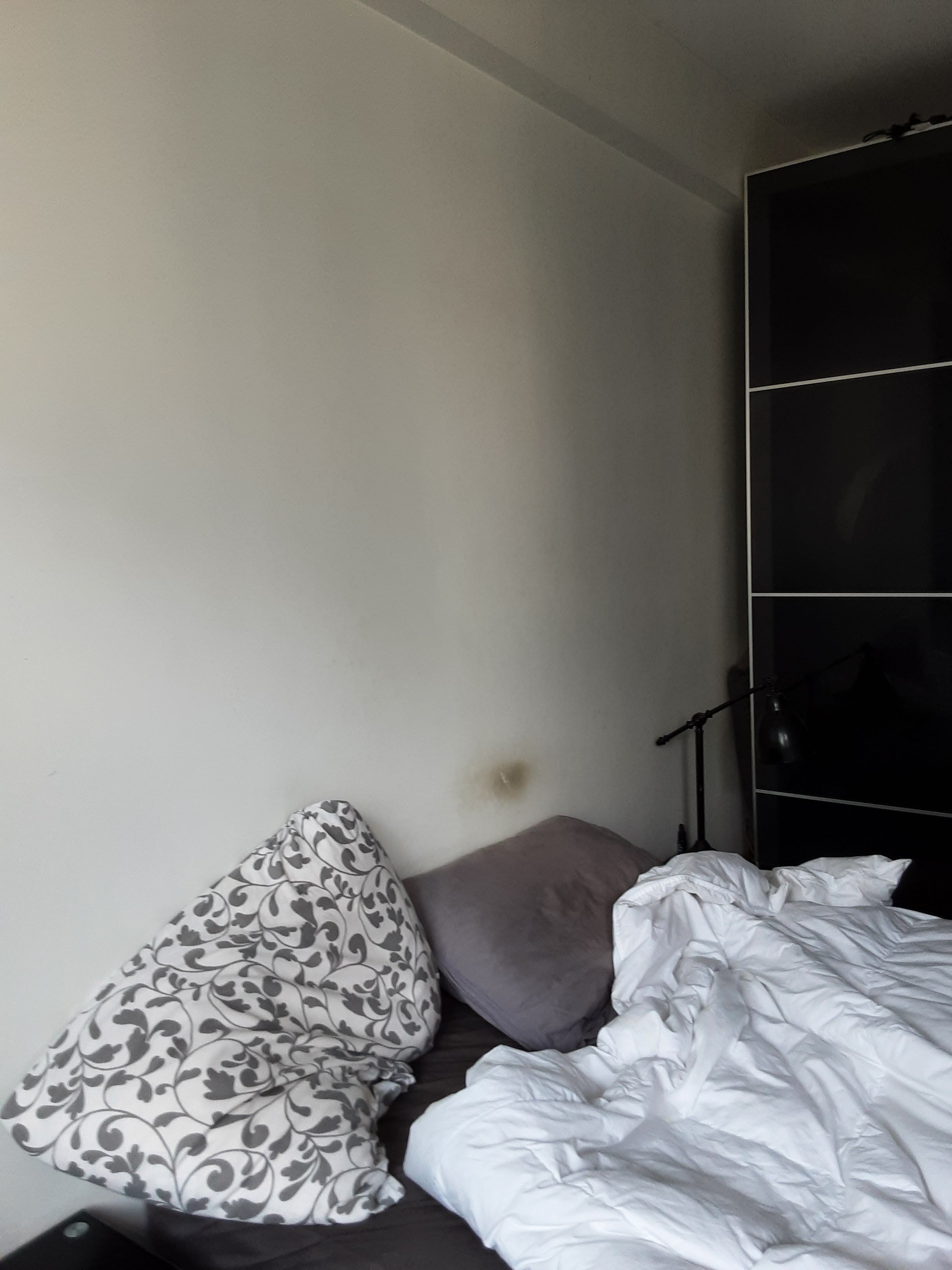 Rénovation avec isolation phonique à Paris — photo 1